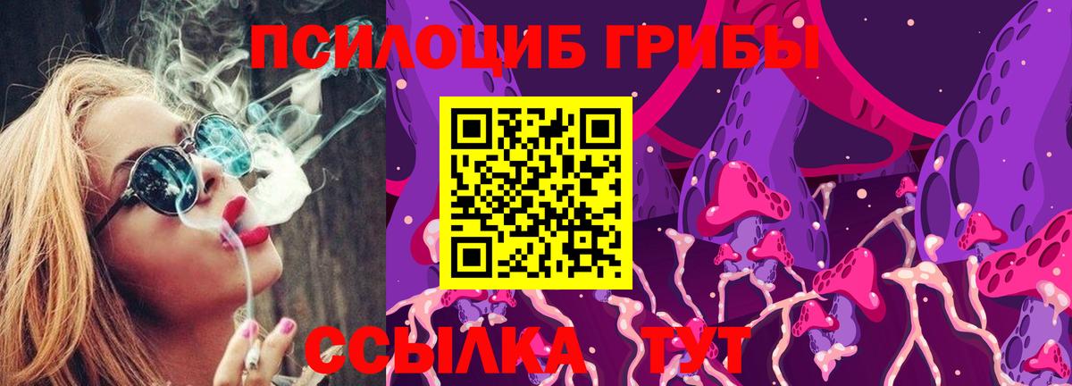 Галлюциногенные грибы Psilocybine cubensis  Ростов-на-Дону  Галлюциногенные грибы Magic Shrooms 