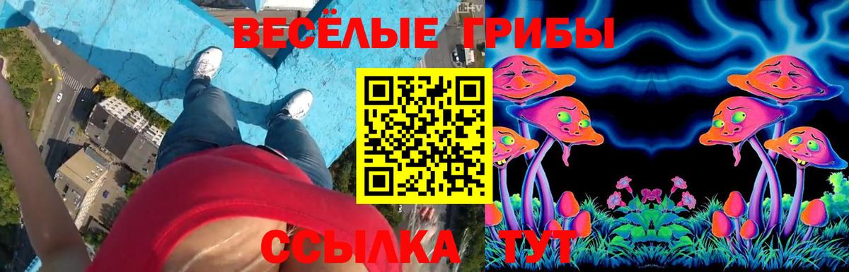 Ростов-на-Дону  Галлюциногенные грибы Magic Shrooms  Вход с VPN 