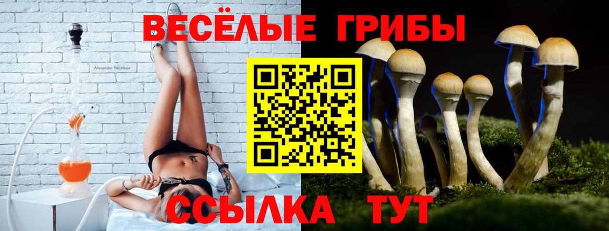 Галлюциногенные грибы ЛСД Ростов-на-Дону